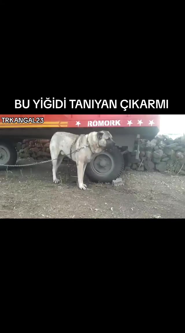 @🏆 TRKANGAL23 🏆
