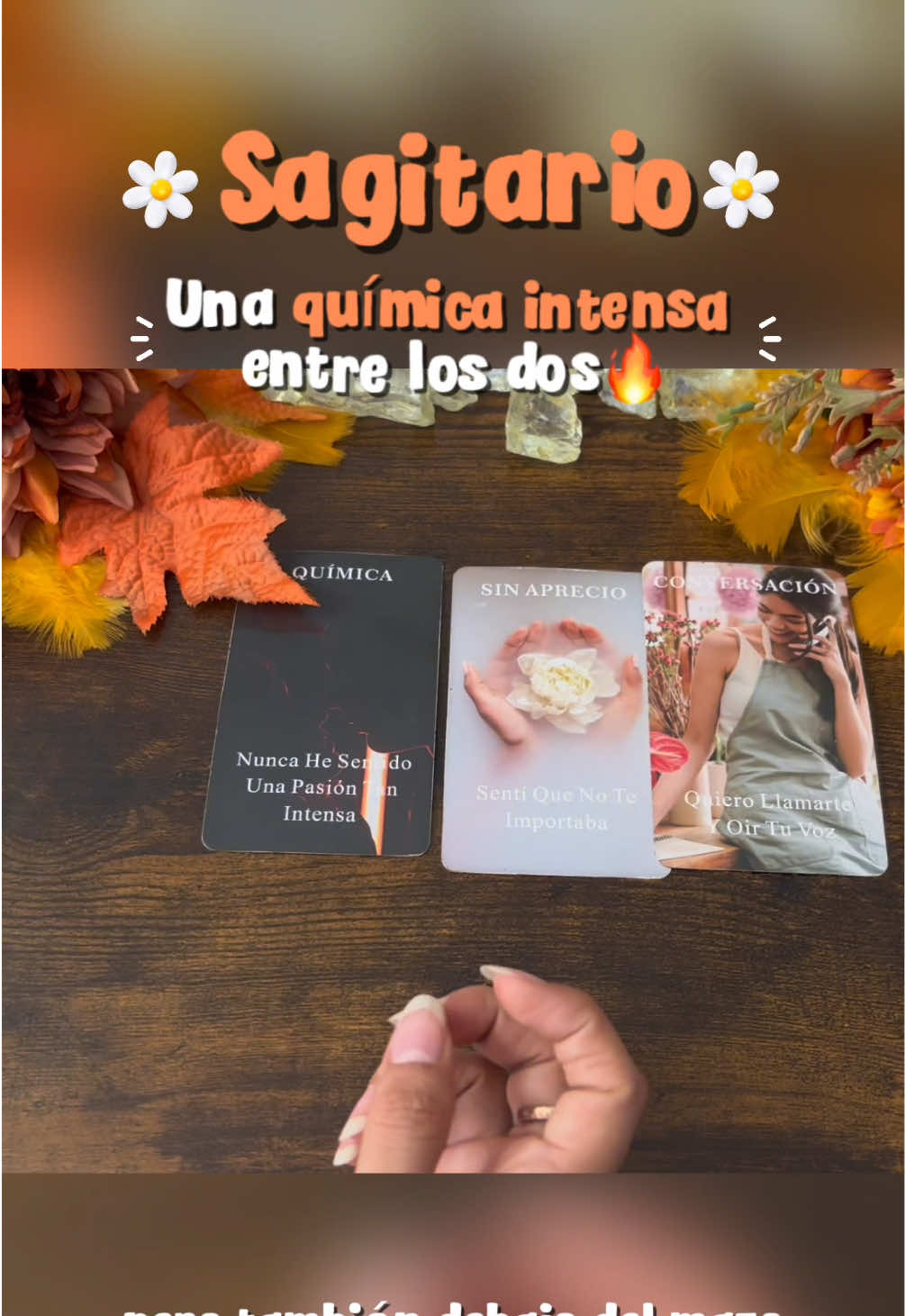 @Andy Sun Tarot ☀️