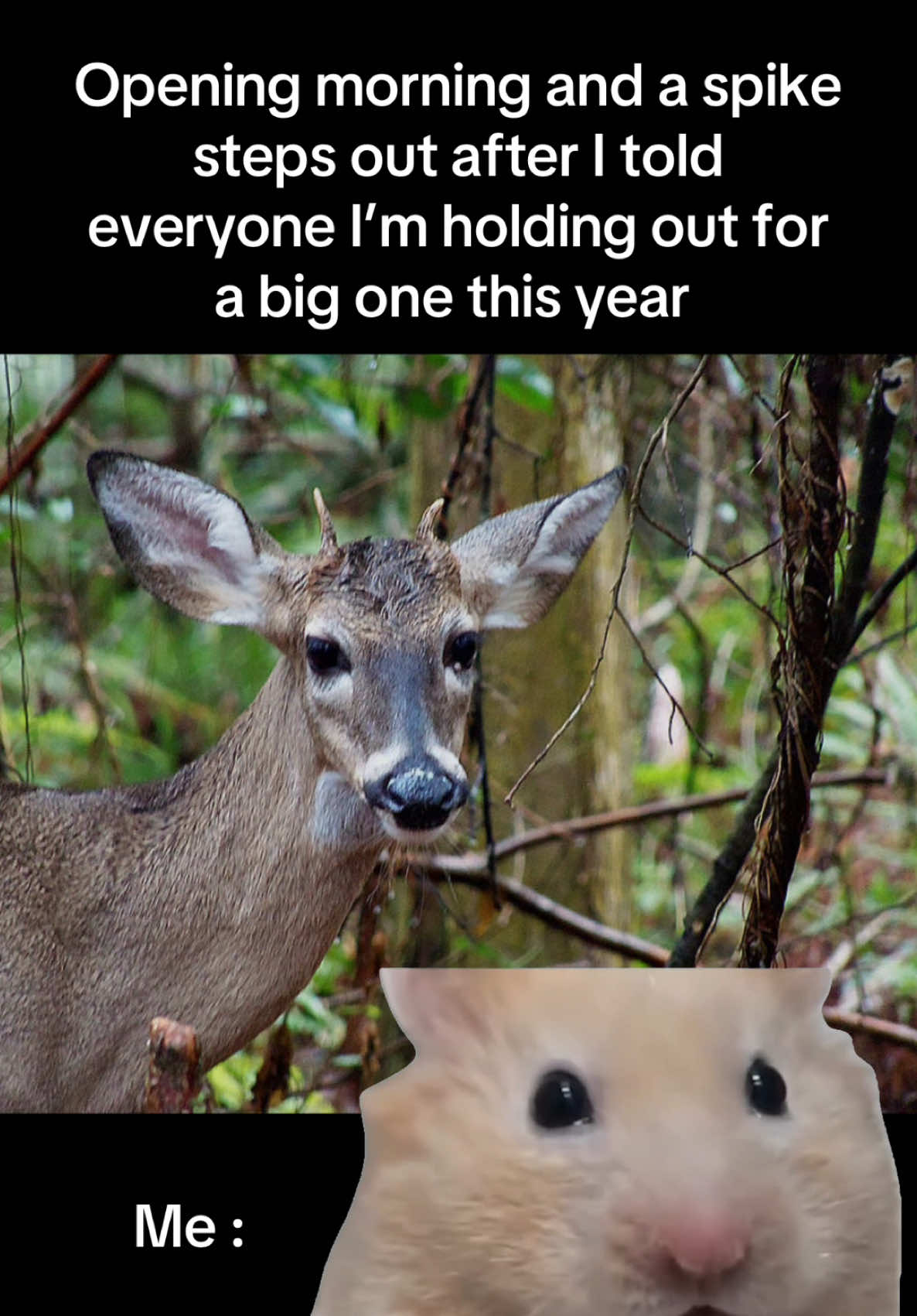 @TPHH