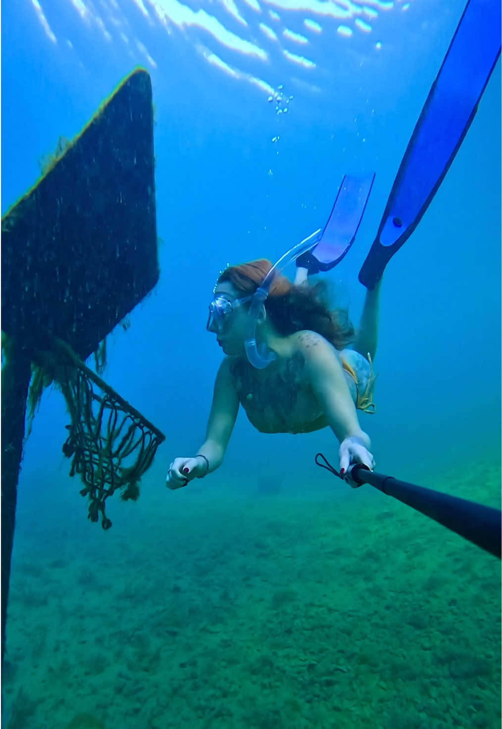 @Coralia Dives 🧜&zwj;♀️