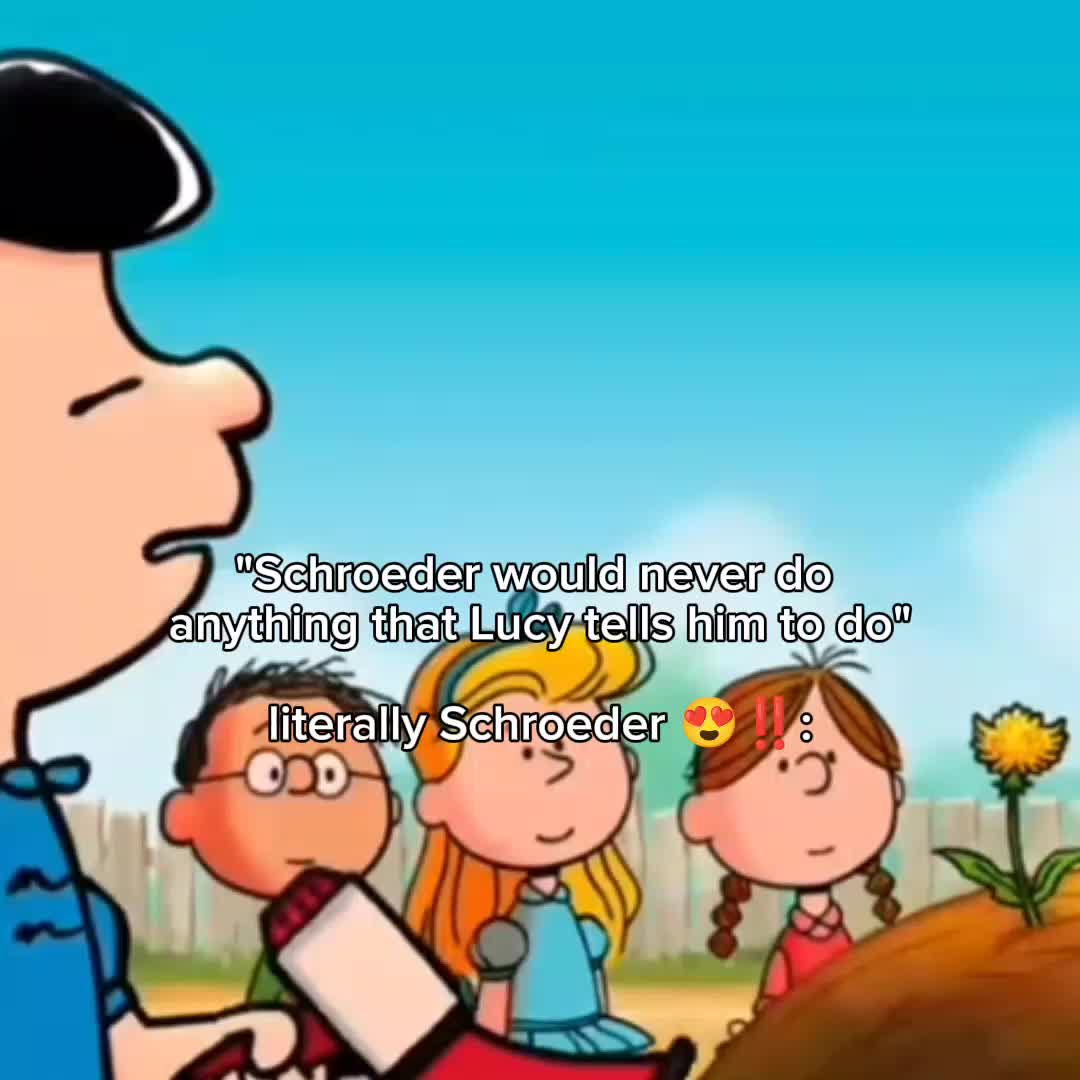 @MISHE!*.✧ || VAN PELT