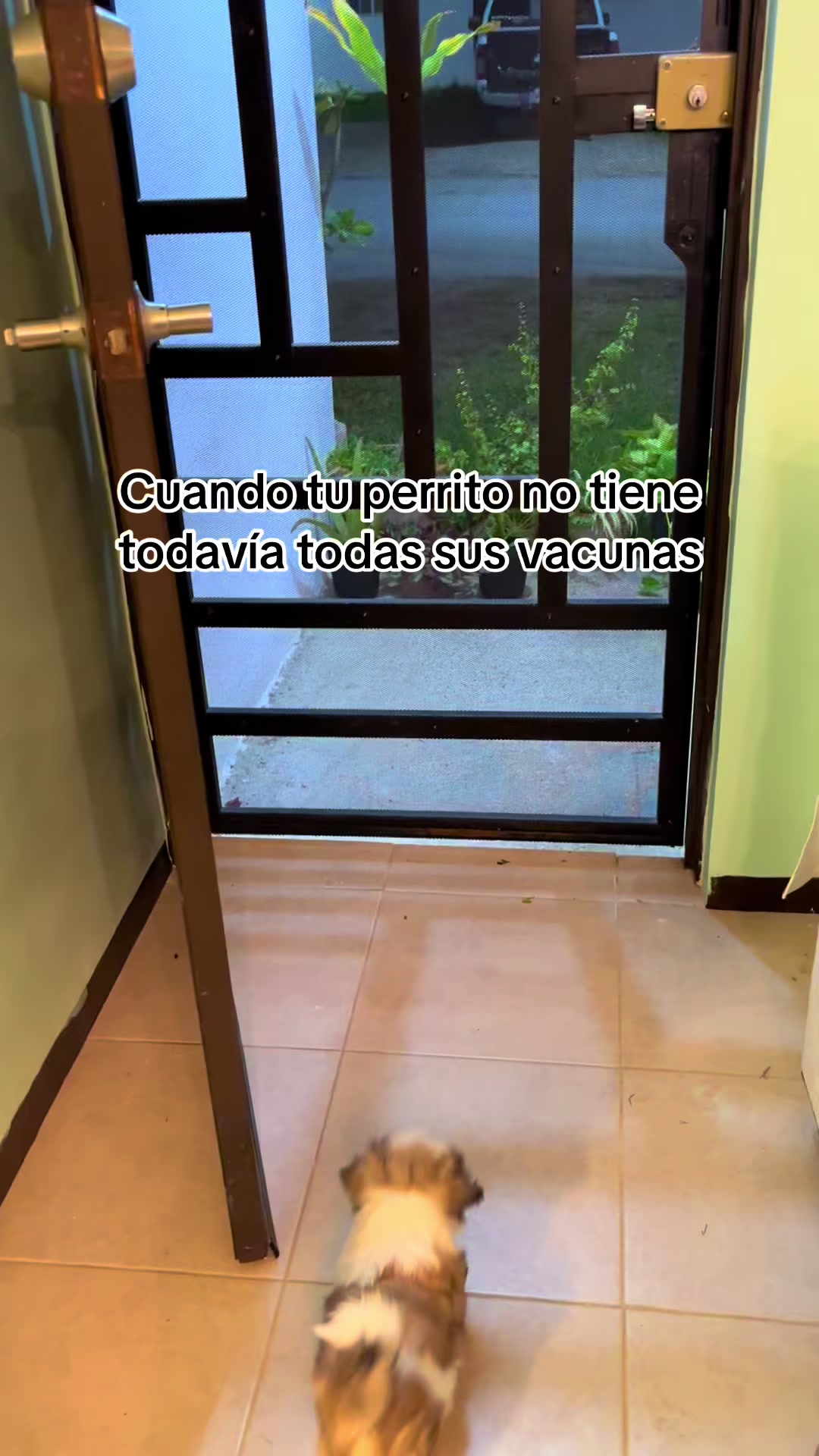 @Alex Zamudio