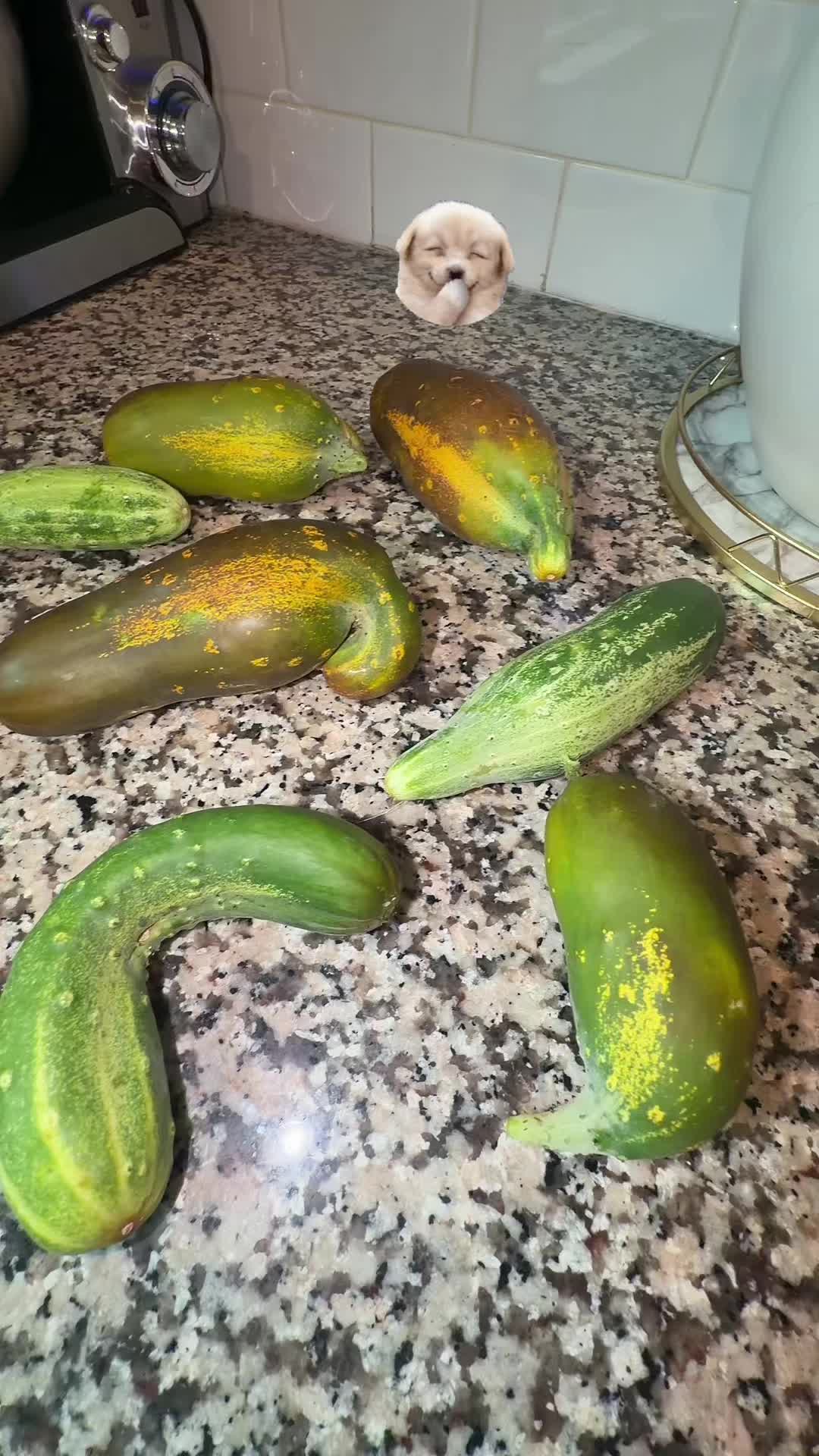 @आकृति