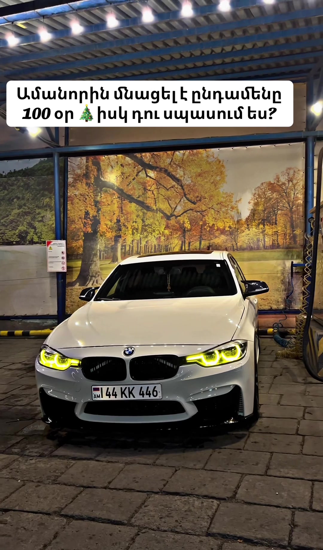 @F30_white
