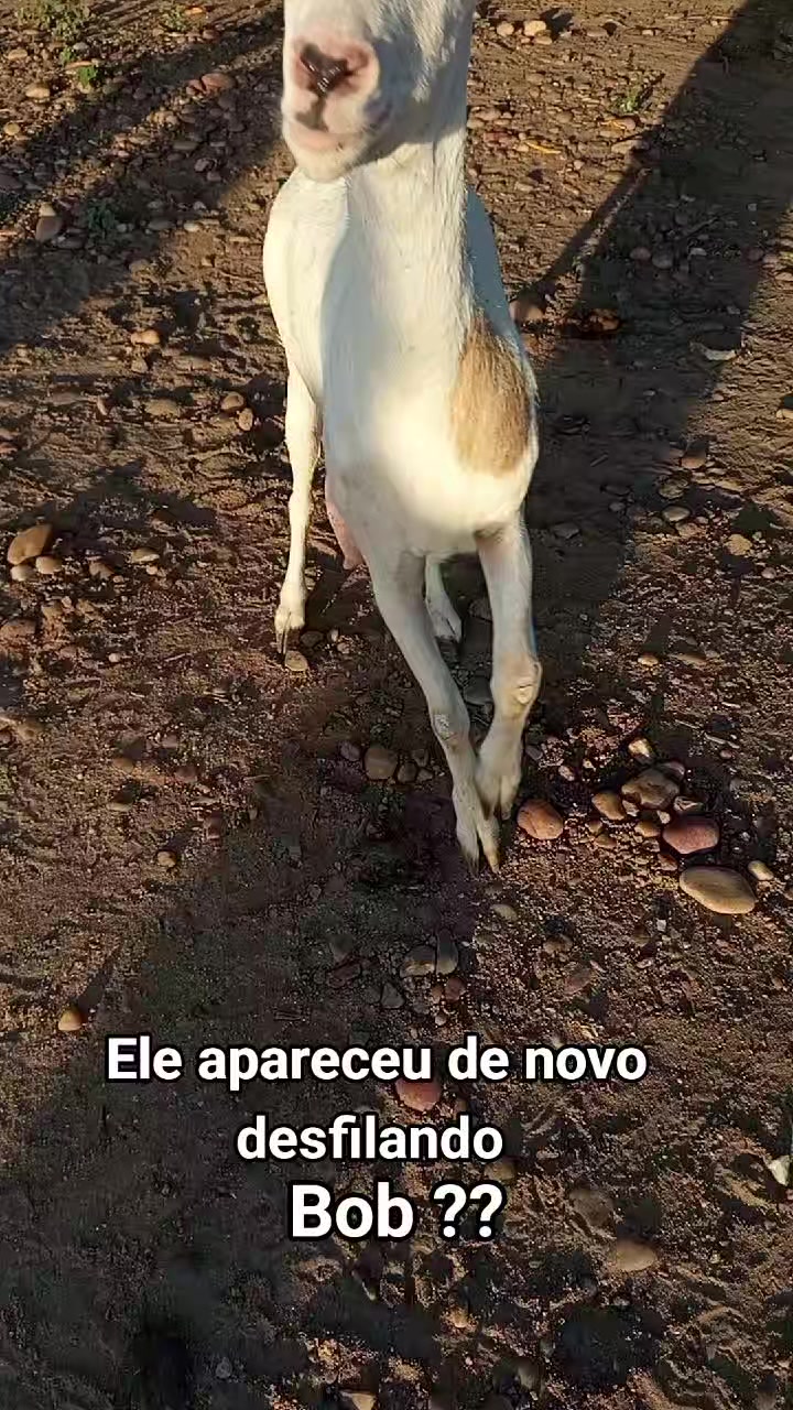 @C&iacute;cero Maicon Lopes
