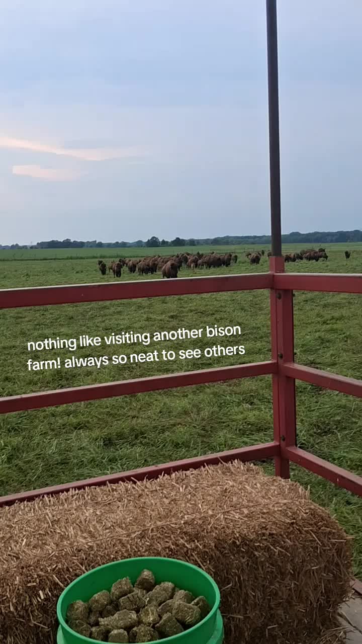 @Taylor | Sah{farm}m