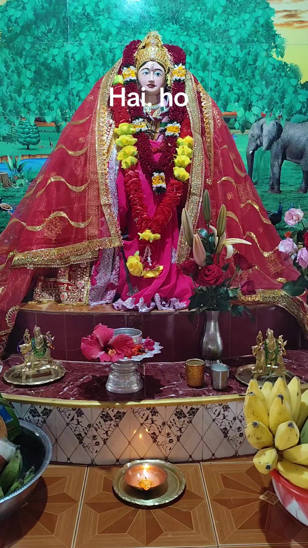 @sagar pradhan