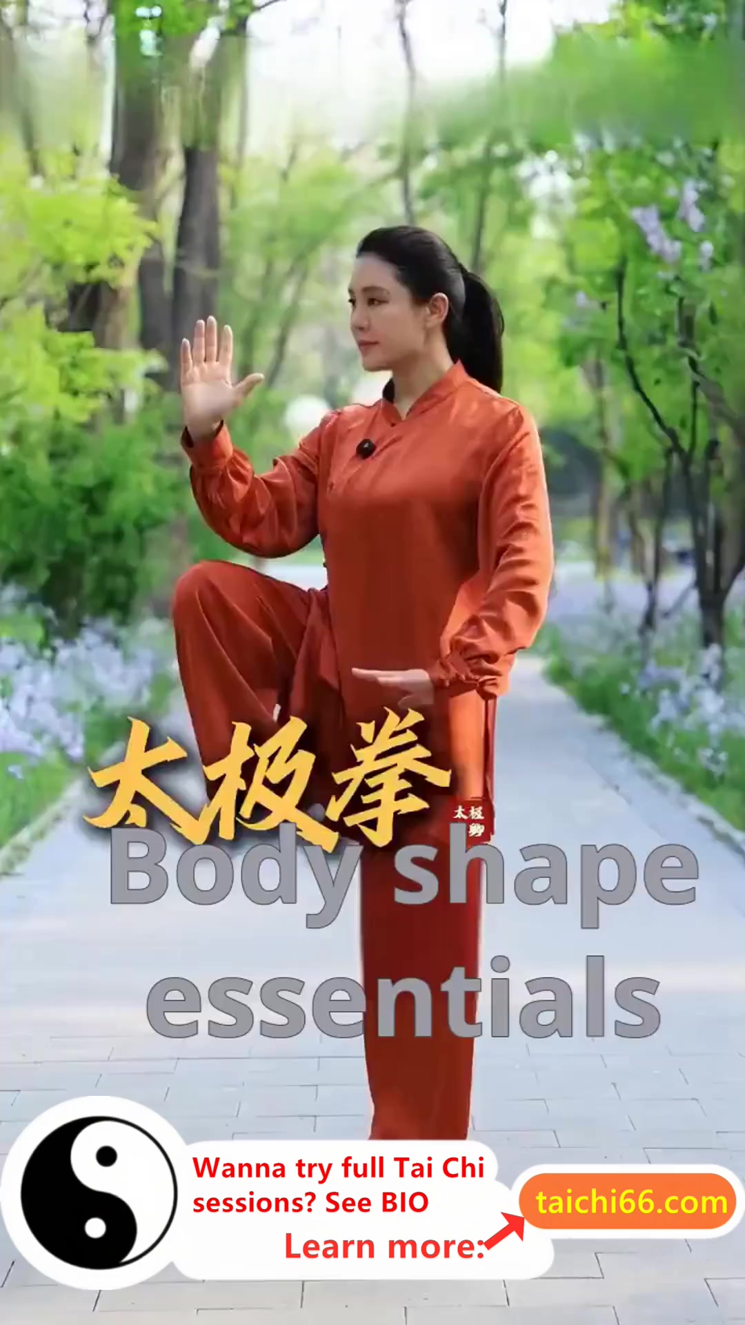 @HuaKai Taichi