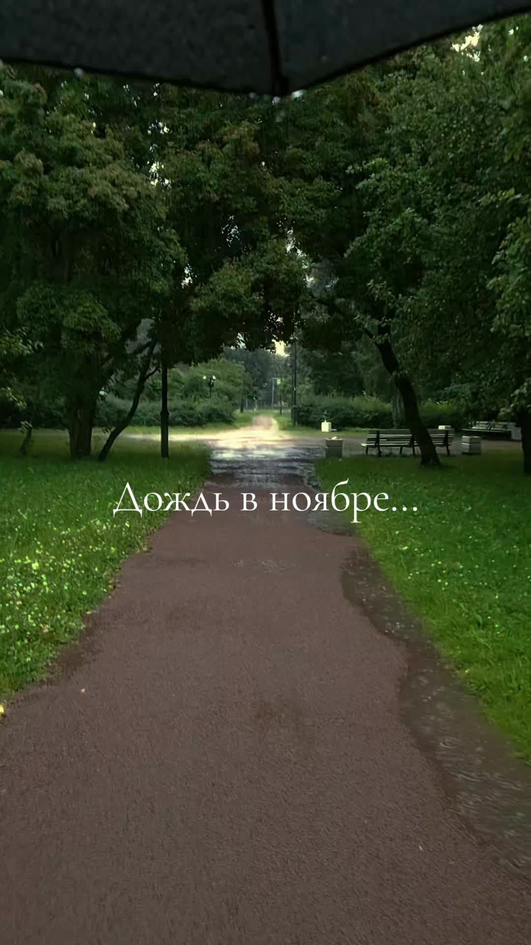 @Илья