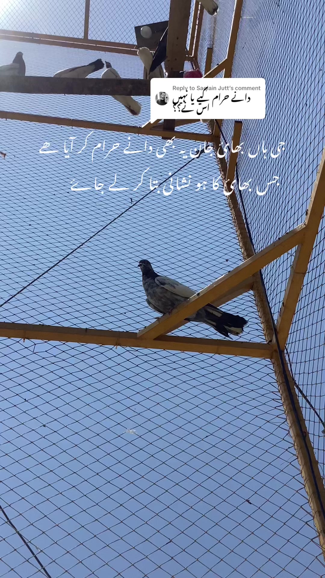 @hassnani68