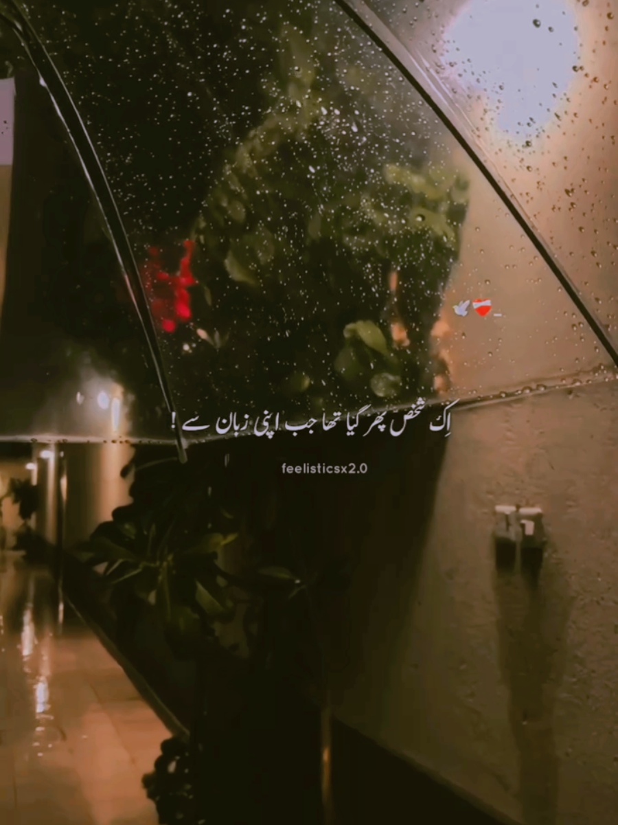@꧁☬𝐊𝐢𝐧𝐠✰𝐒𝐡𝐚𝐡𝐳𝐚𝐝☬꧂