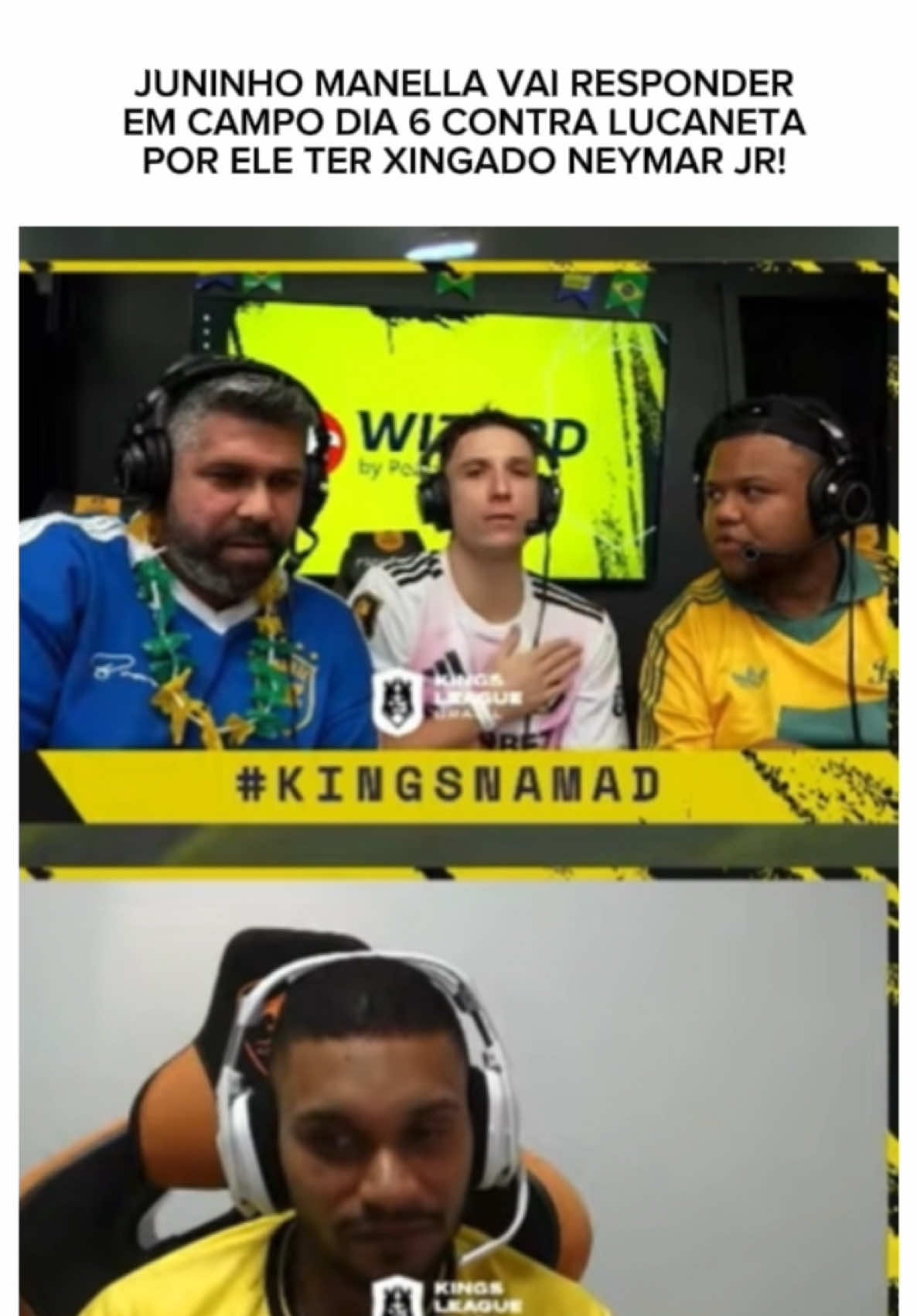 @Junirox Brasil 🐢💚🐯🇧🇷