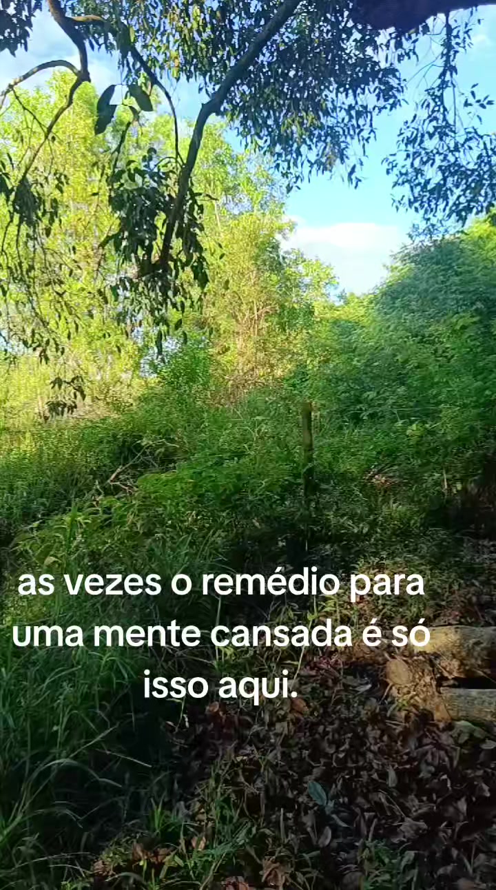 @FOGUINHO 🔥