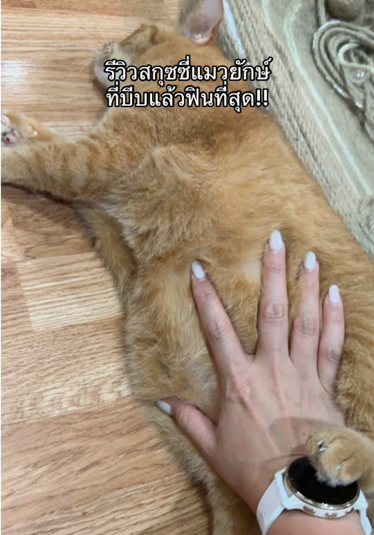 @น้ำผึ้ง :))