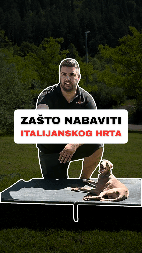 @superdog.akademija