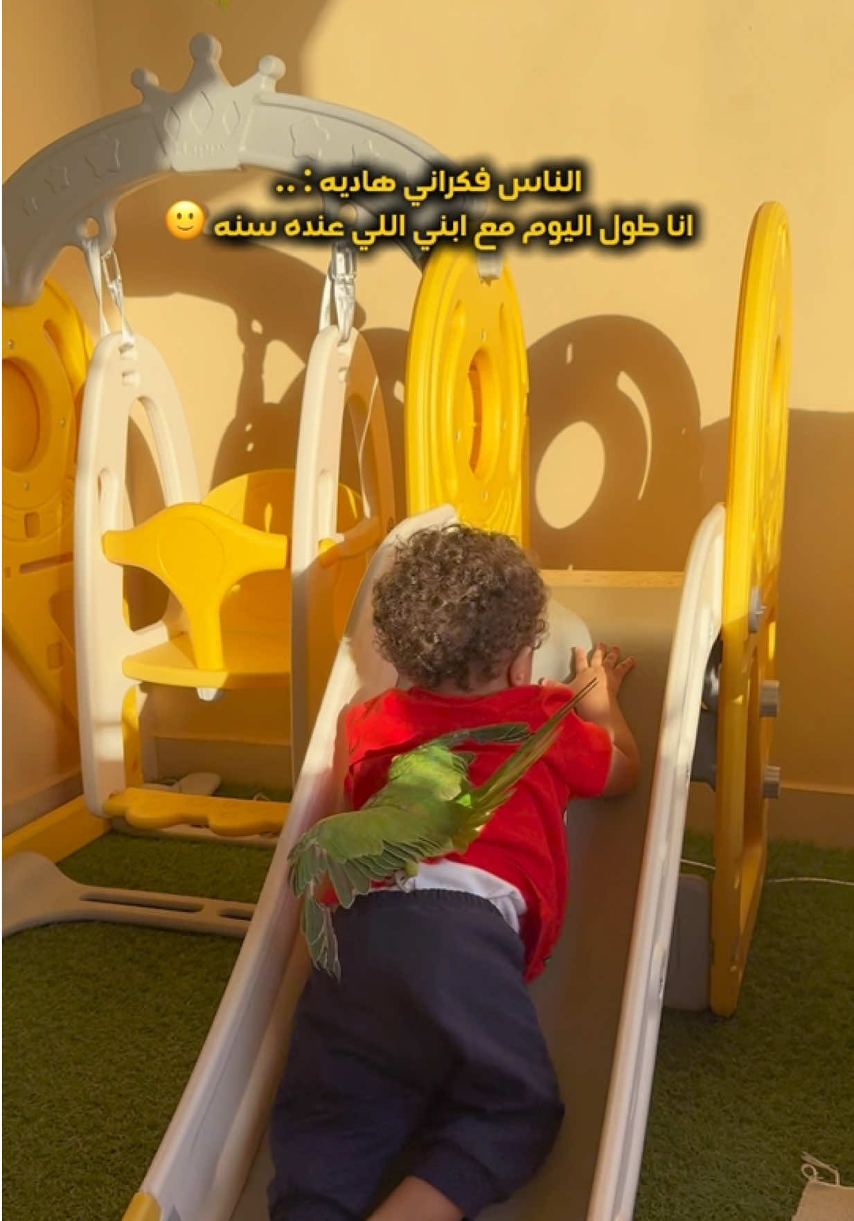 @Nadia Elkholy