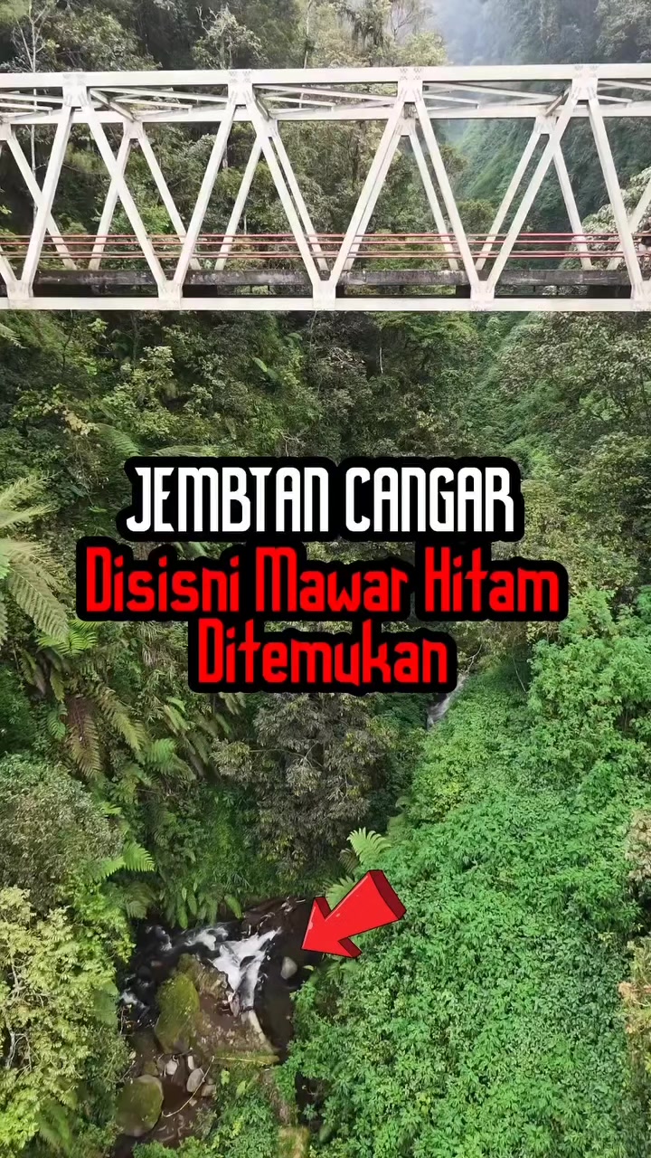 @Nyai Dasima