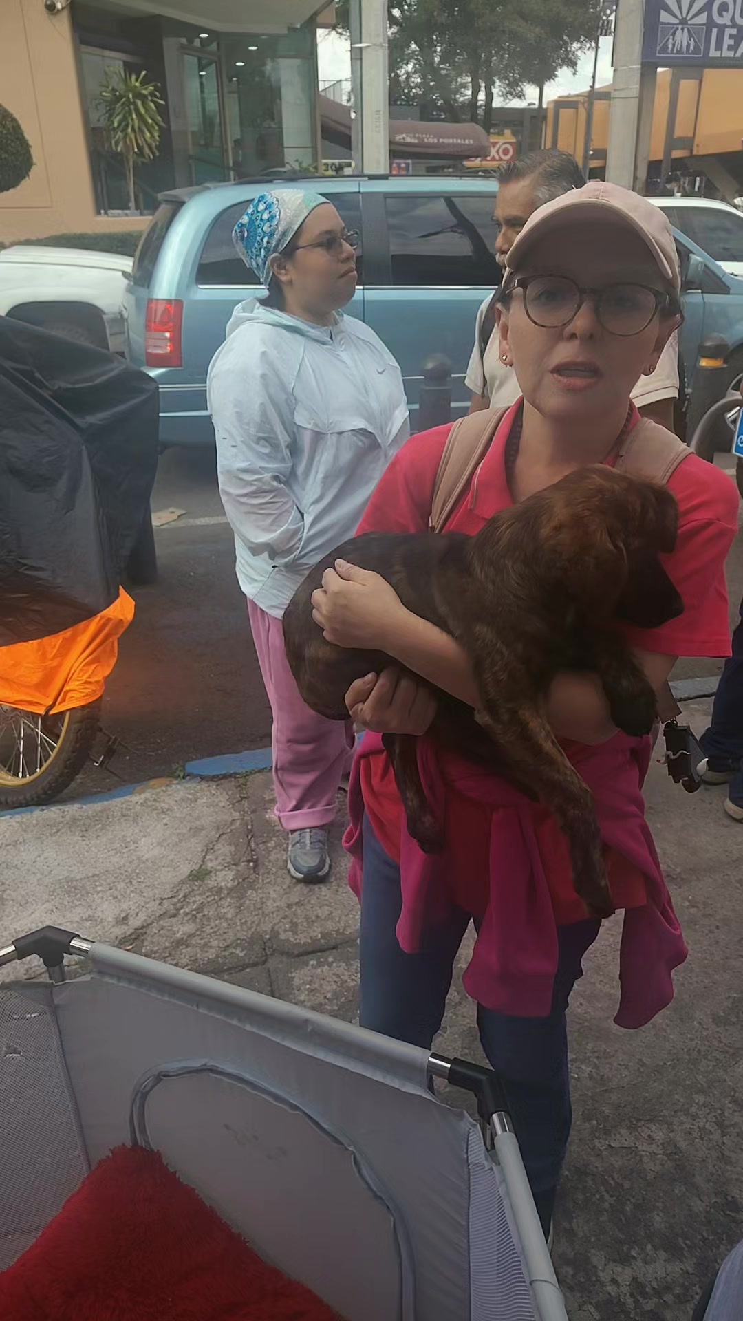 @rescate de perros guapos 😚