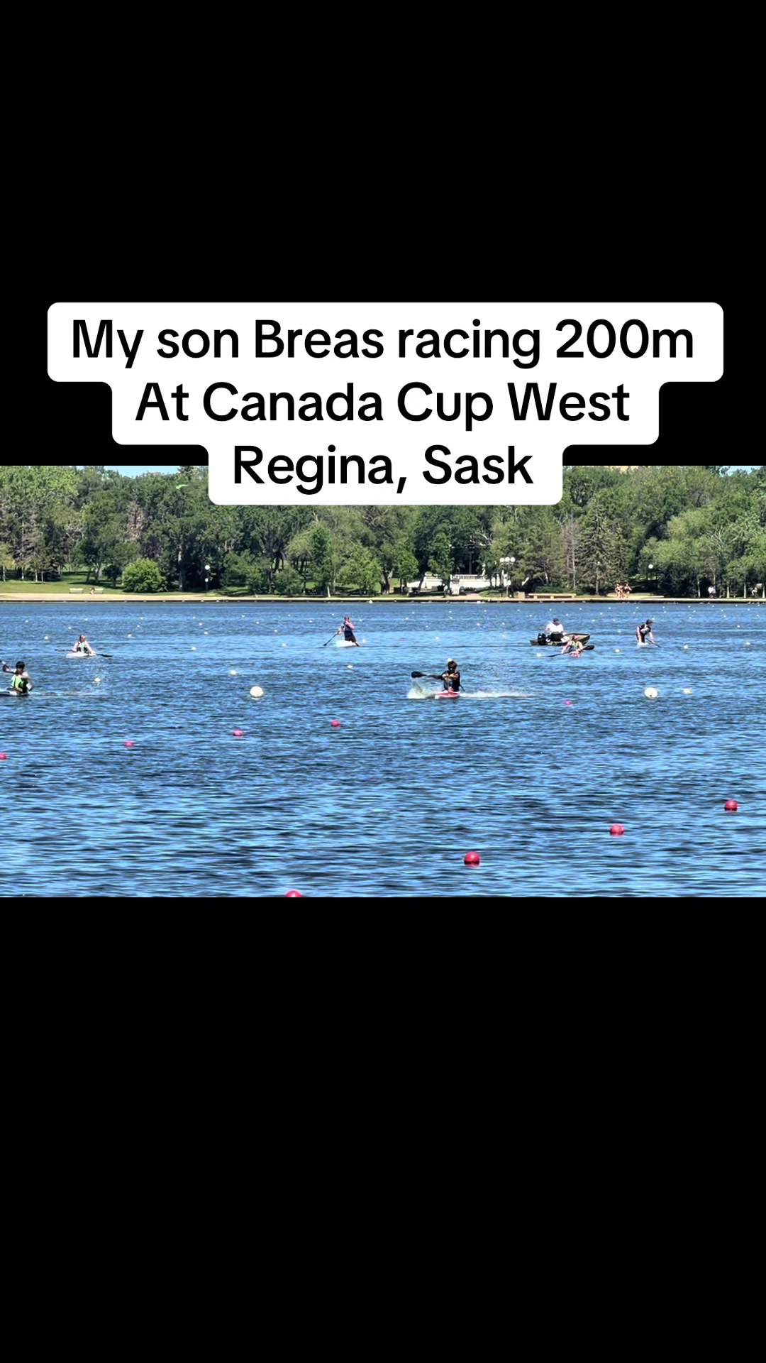 @Lischo
