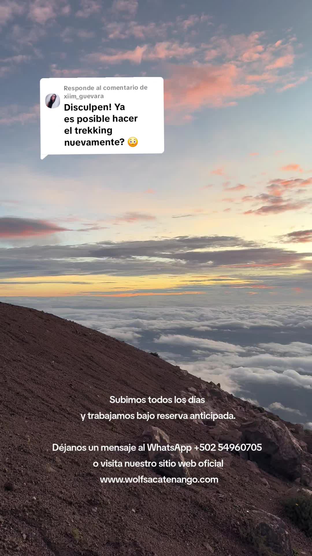 @WOLFS ACATENANGO
