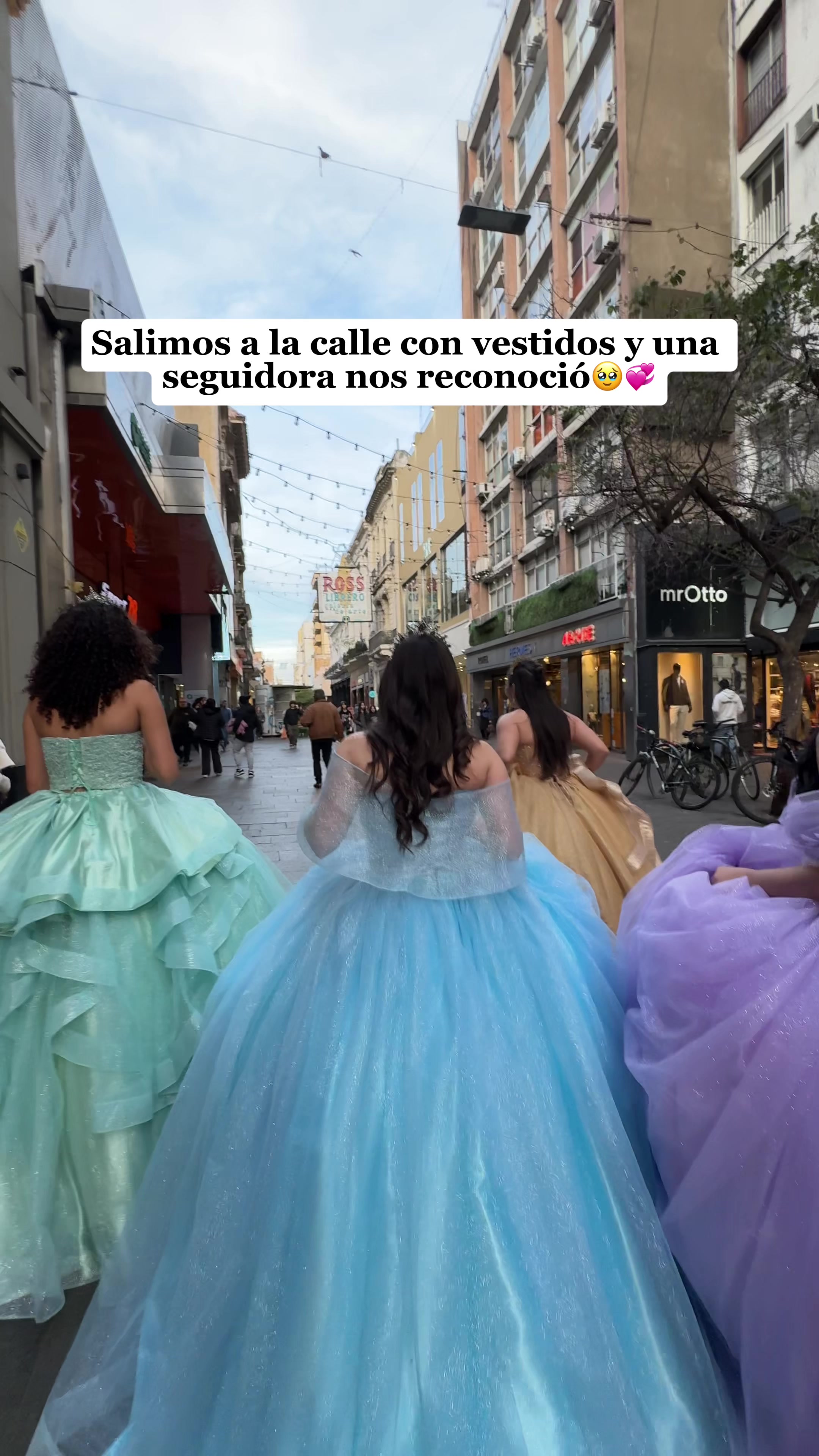 @Mis Fabulosos Quince