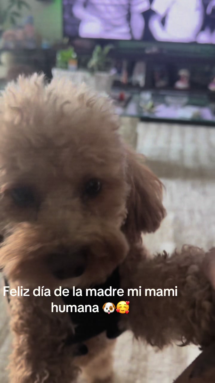 @pattycastillot