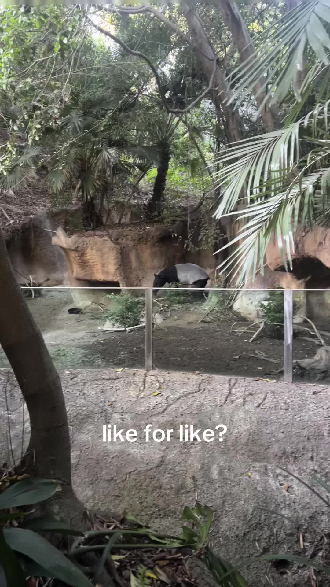 @like my reposts
