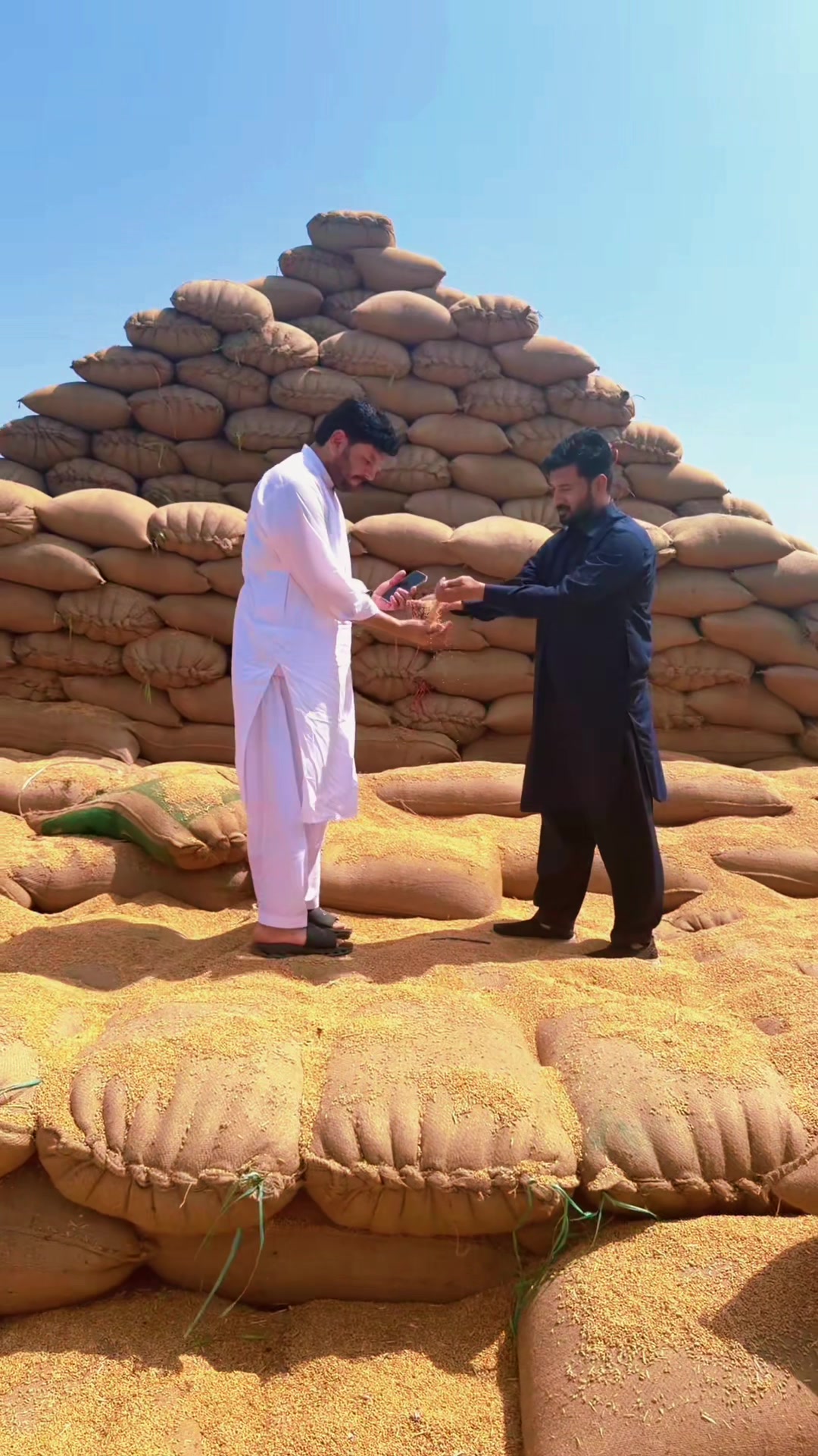 @sardarwalimuhmand
