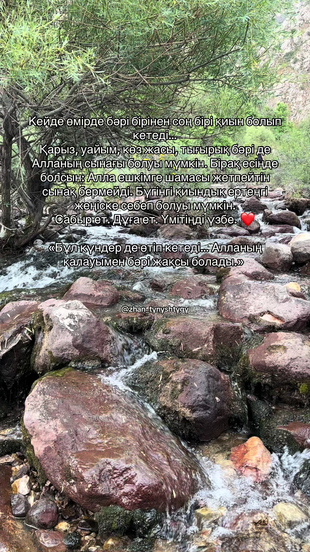 @𝔃𝓱𝓪𝓷_𝓽𝔂𝓷𝔂𝓼𝓱𝓽𝔂𝓰𝔂