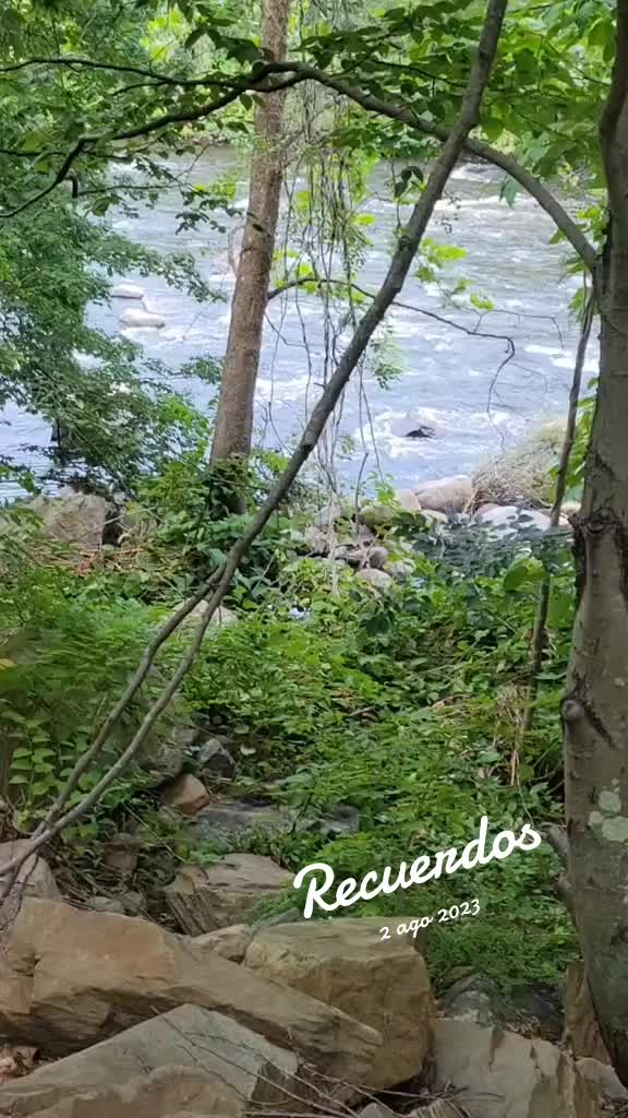 @Edenilson zepeda
