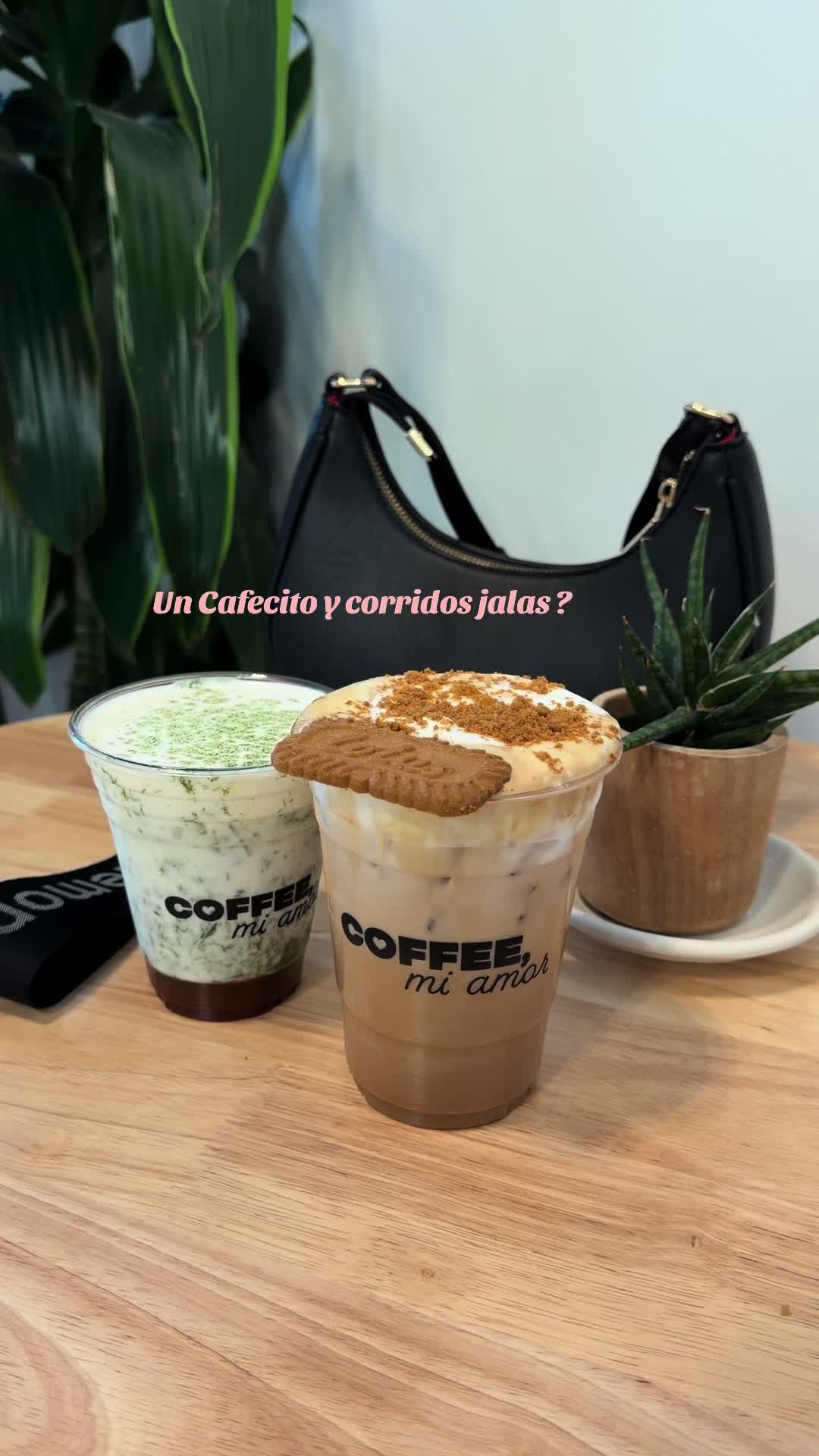 @Marbella Vasquez