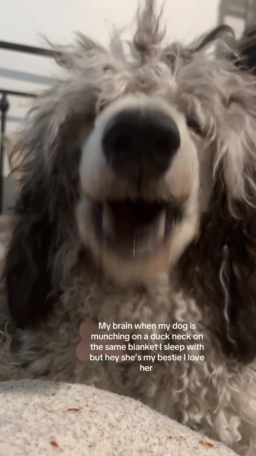 @LiLi