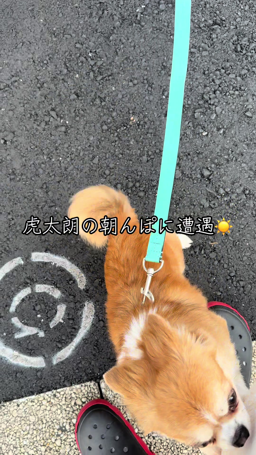 @心太