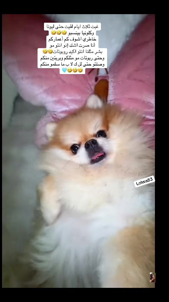 @lolwa83๐ฉต