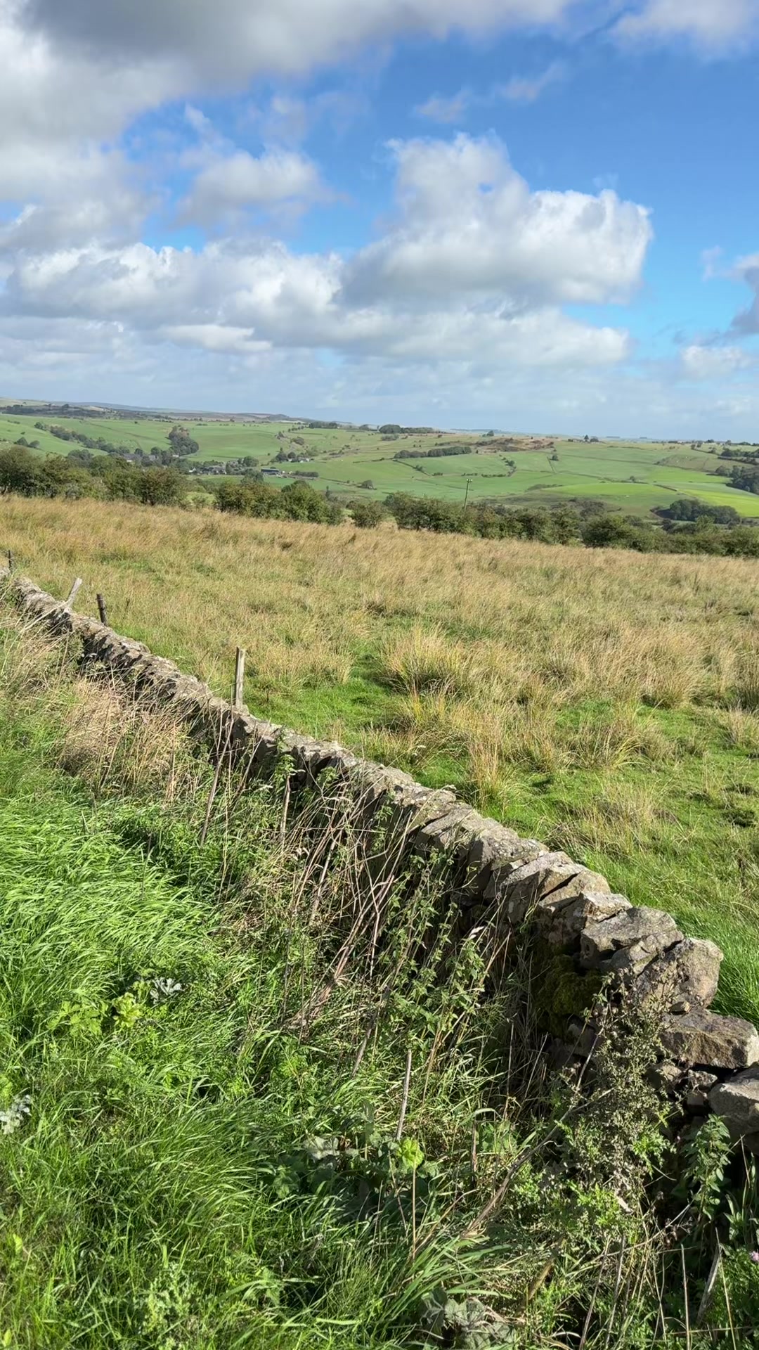 @Nadim3613