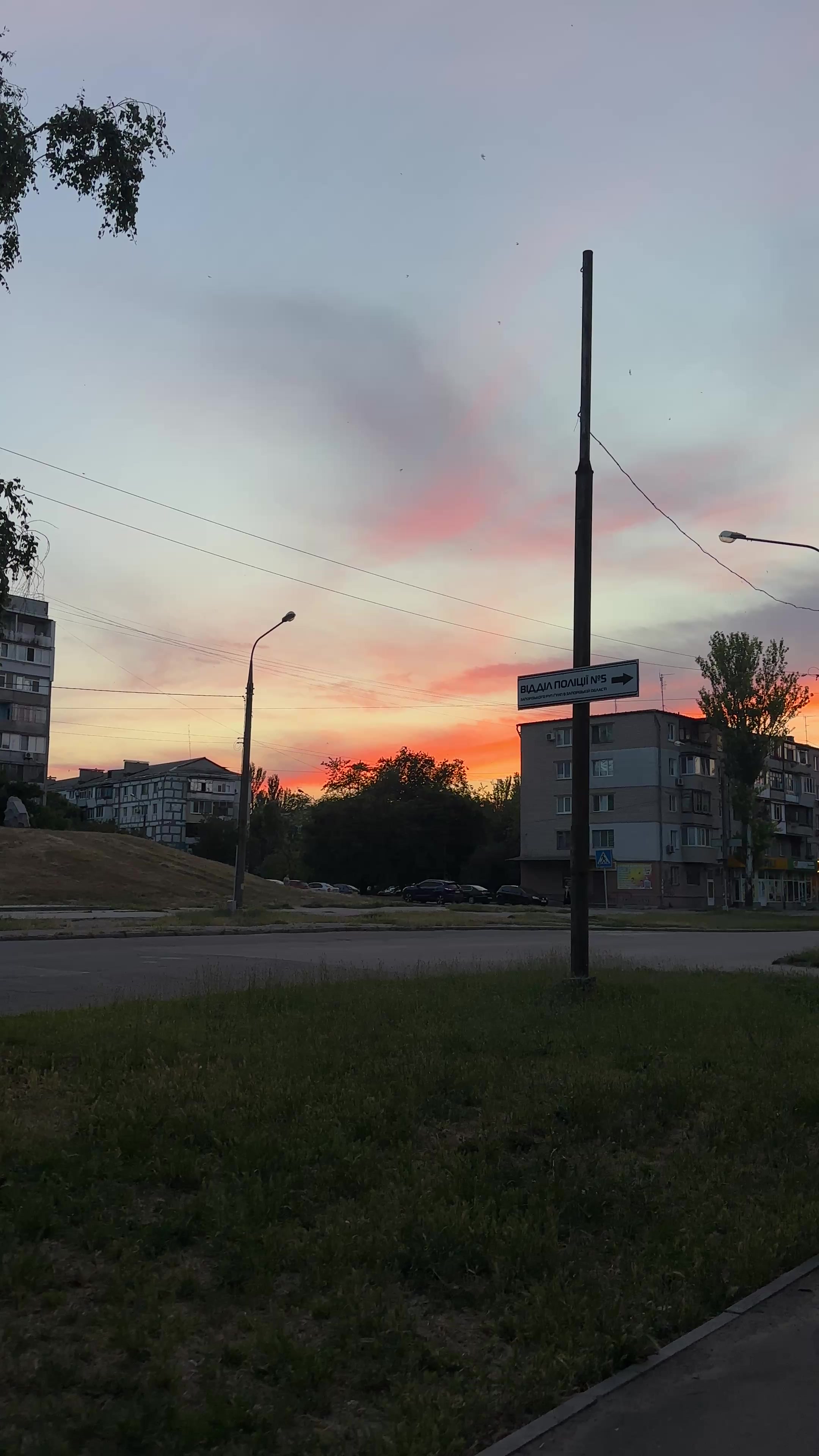 @nikolaevna.ms