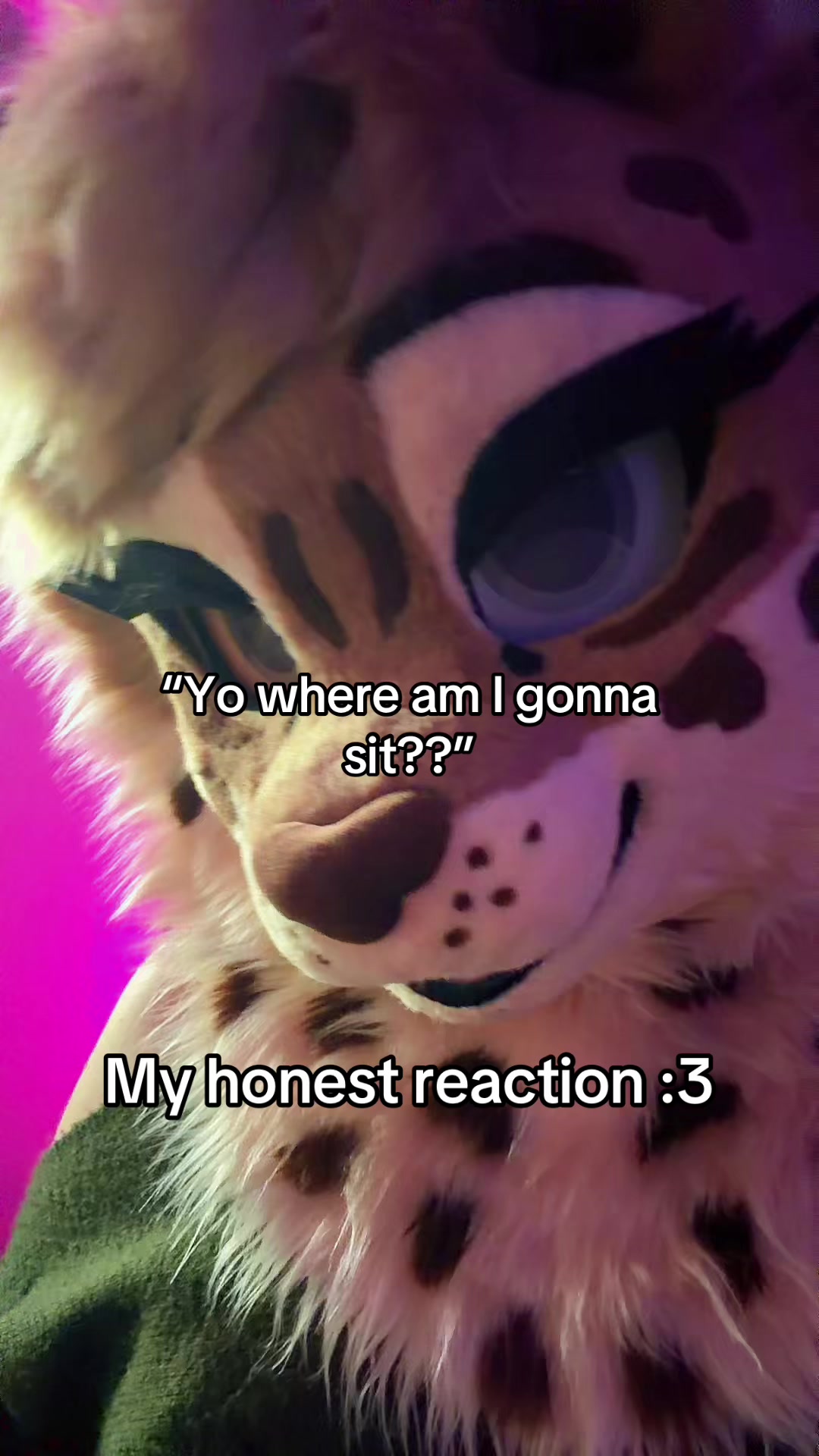 @Amyquel