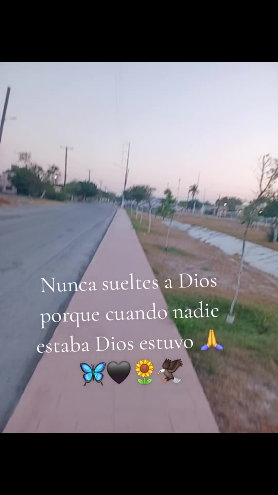 @LA POTOSINA 🖤🌻🦋