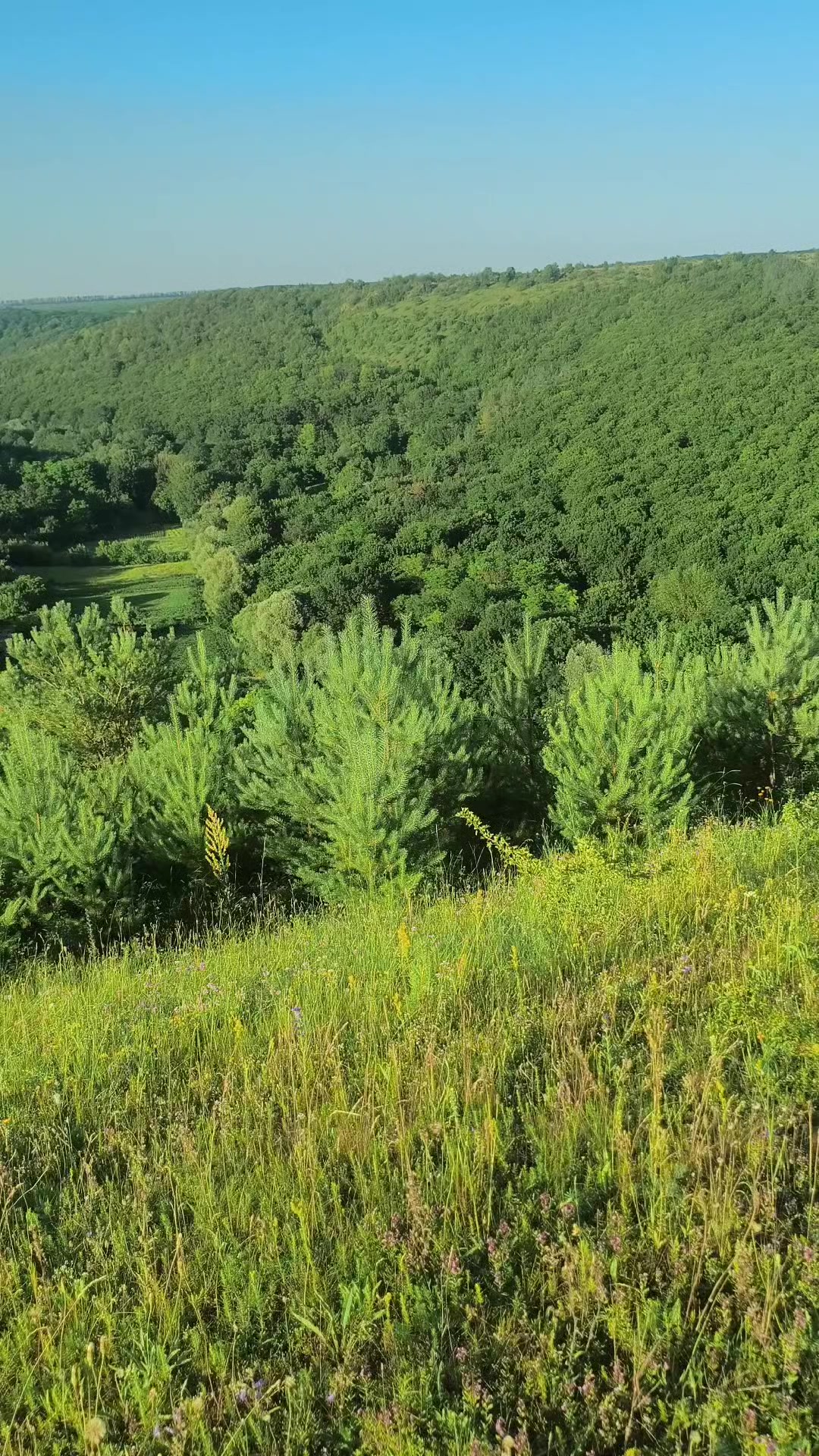@Саня🇺🇦🇺🇦🇺🇦