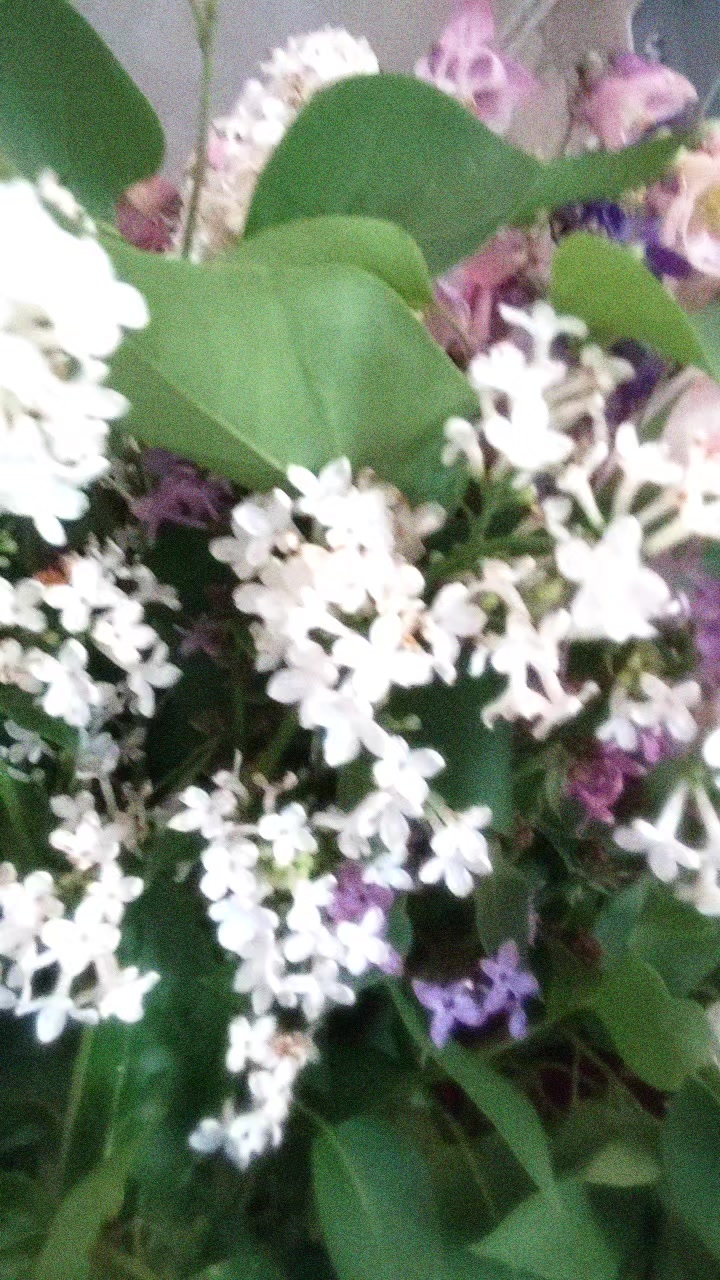 @Викуся