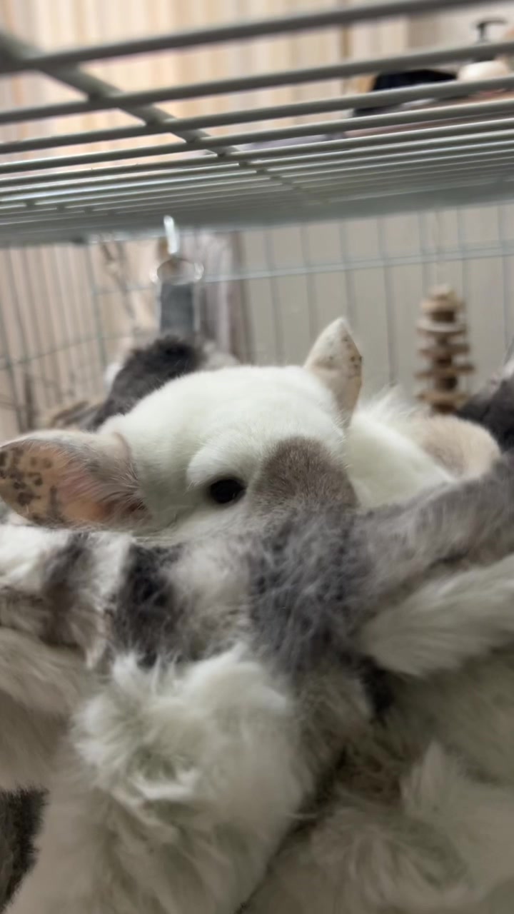 @Лулу