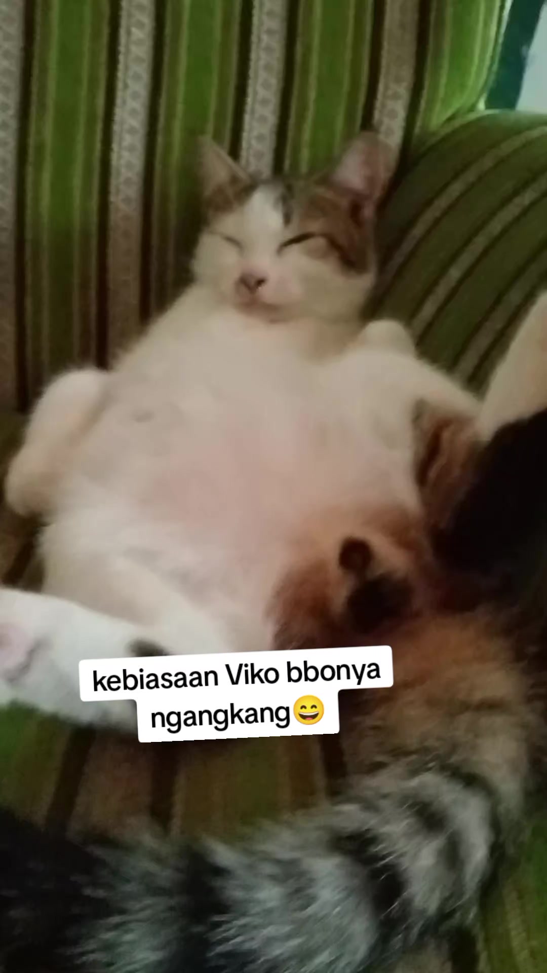 @Lina herlina