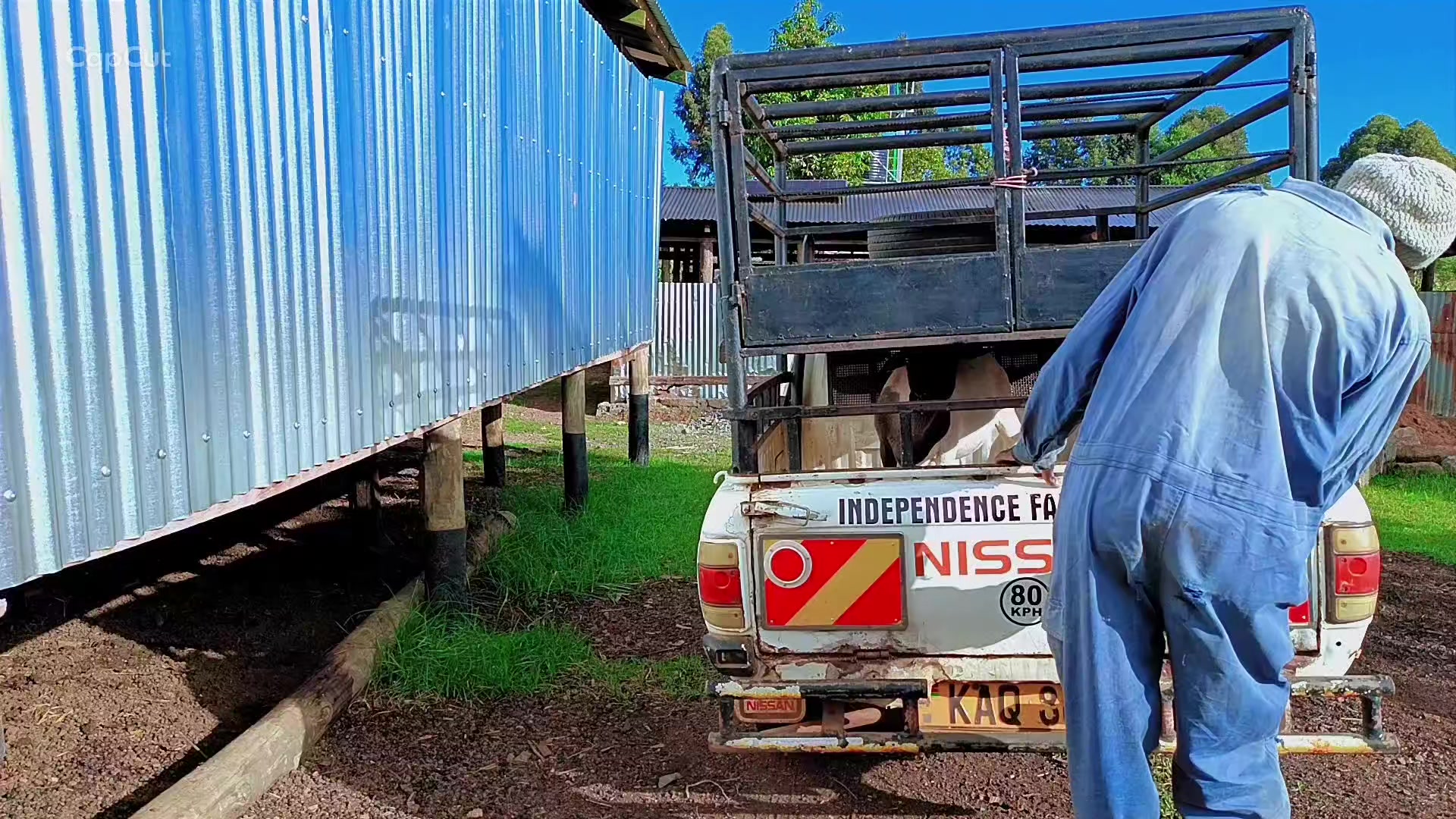@✌️ INDEPENDENCE FARM ELDORET✌️