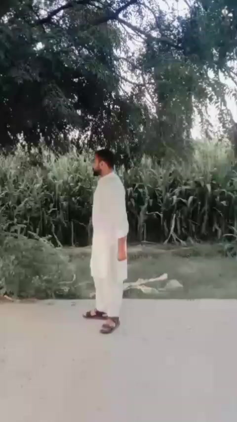 @umerrajpoot881