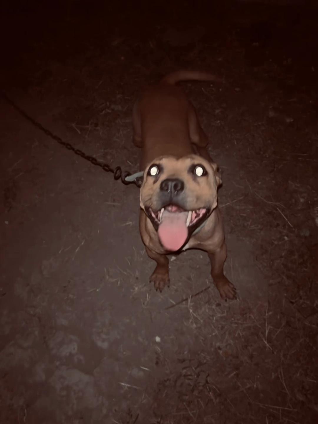 @Joker_pit8