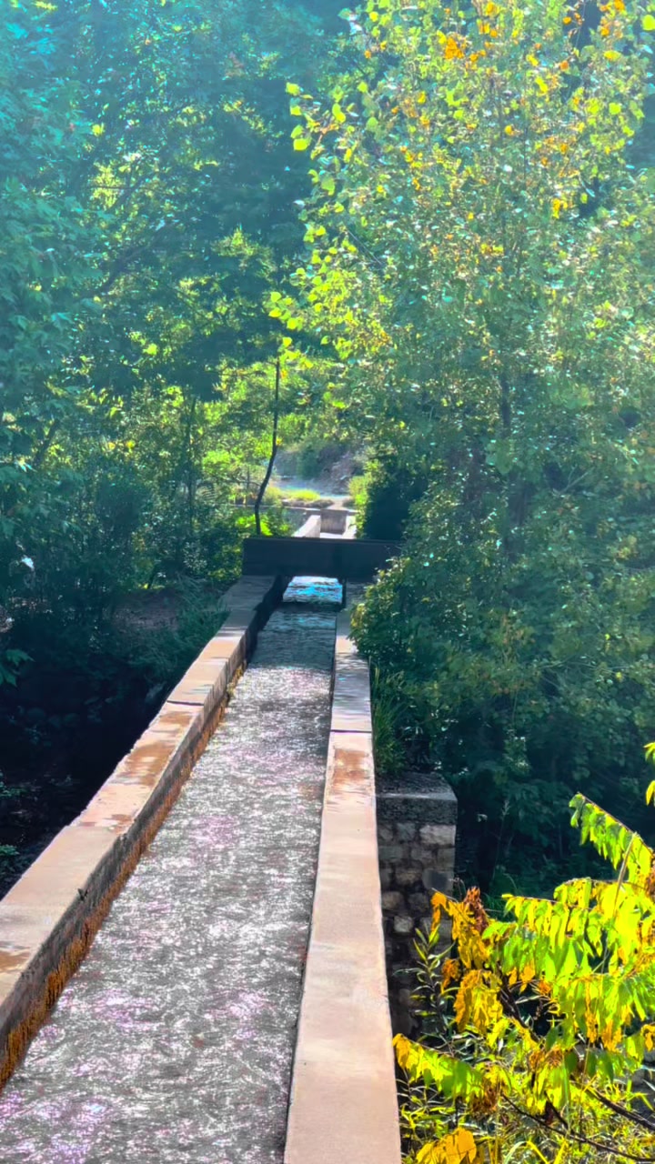 @𓆩𝐘 ᴛᴜʀɪ𓆪✪