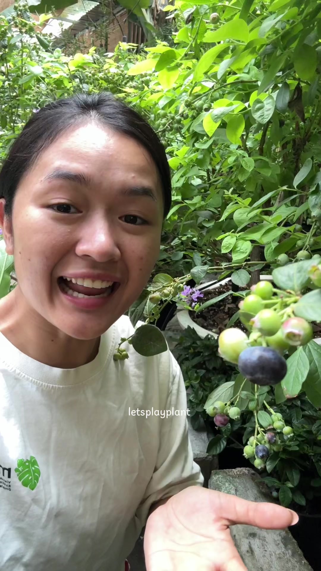 @Tú Nhi - Let's play plant