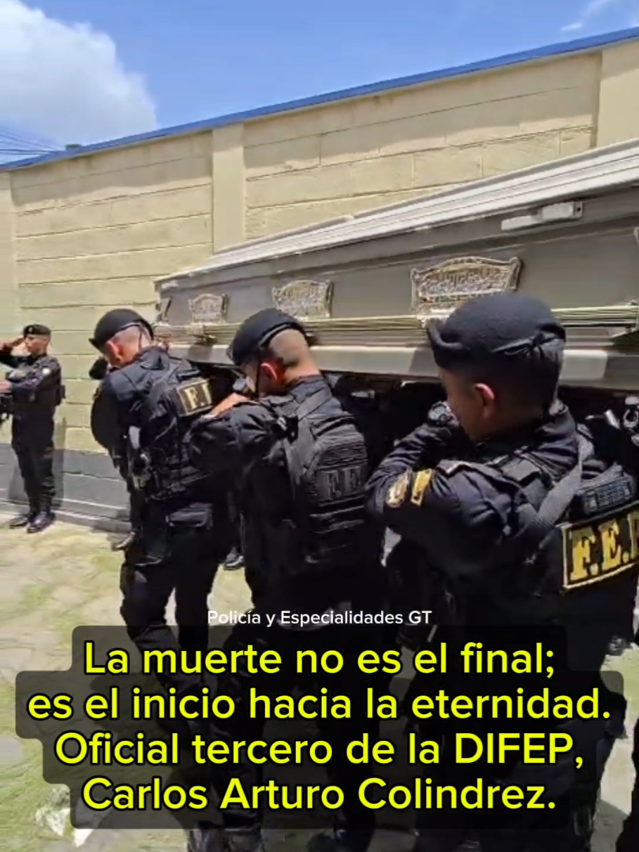 @Rafael Junior
