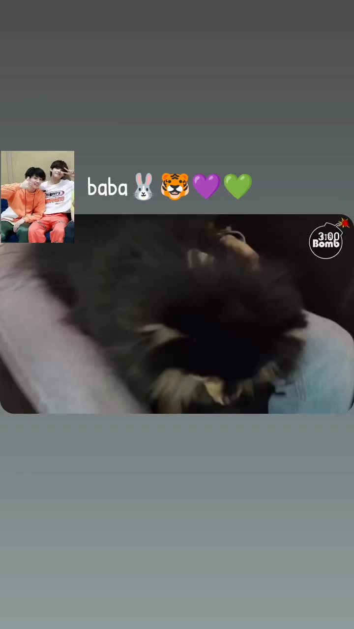 @💜 𝙕𝙖𝙣𝙠 𝘽𝙖𝙜𝙖𝙨 ♒️