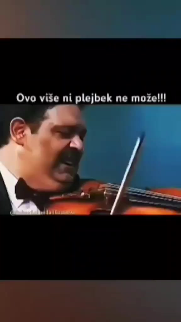 @SREDA🐾